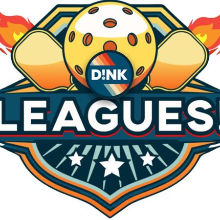 Dink Leagues